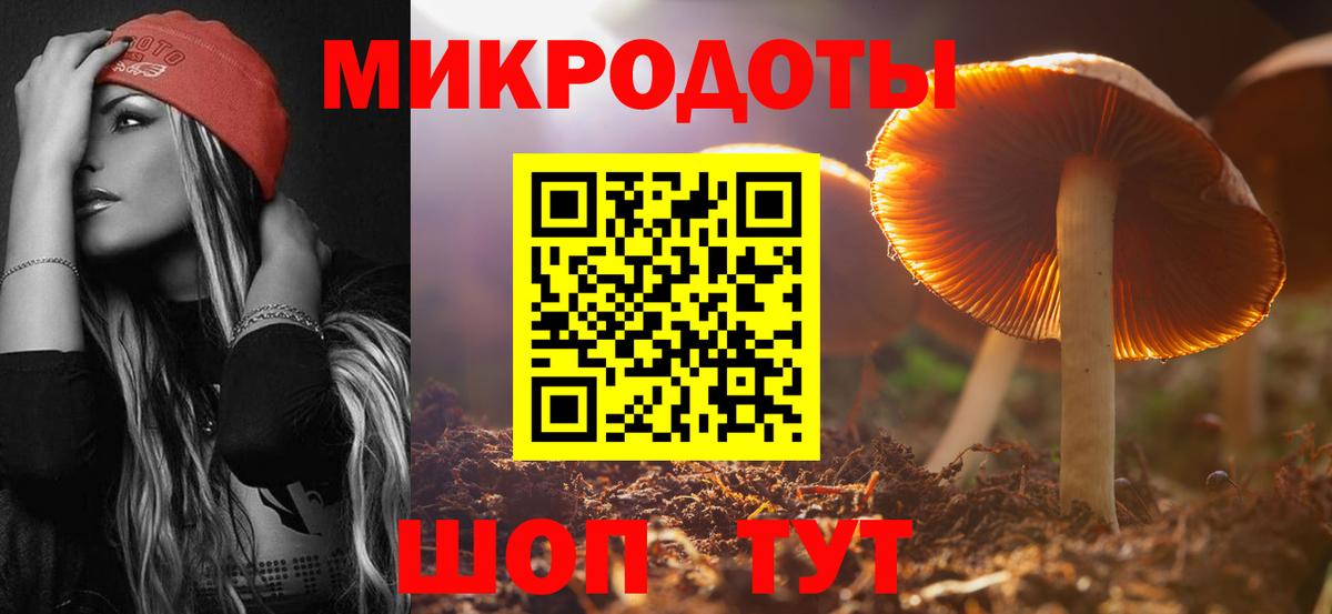 Тында  Псилоцибиновые грибы ЛСД  Галлюциногенные грибы мухоморы  Вход с VPN 